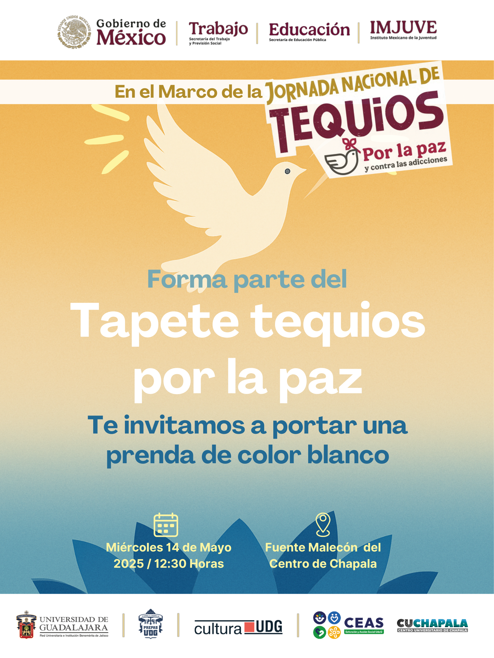Tapete por la paz en Chapala 2025