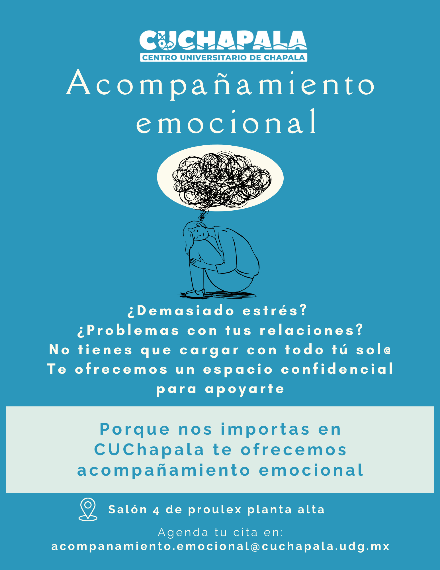 Acompañamiento  emocional